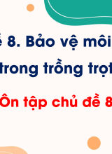 CN Trồng trọt - Ôn tập chủ đề 8. Bảo về môi trường trong trồng trọt